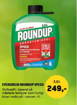 XL-BYG Evergreen Roundup speed tilbud