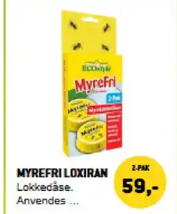XL-BYG Myrefri Loxiran tilbud