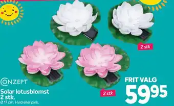 Solar lotusblomst 2 stk.
