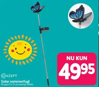 Din Isenkræmmer Solar sommerfugl tilbud