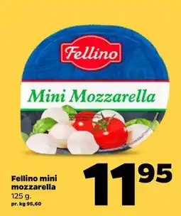 Netto Fellino mini mozzarella tilbud
