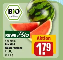 REWE DE Bio mini wassermelone tilbud