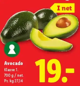 Avocado