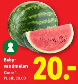 Lidl Babyvandmelon tilbud