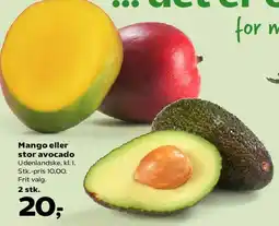 Kvickly Mango eller stor avocado tilbud