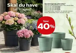 Kvickly Oprydningssalg på krukker tilbud