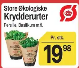 ABC Lavpris Store Økologiske Krydderurter tilbud
