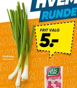Bilka Forårsløg tilbud