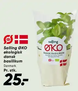 Bilka Økologisk dansk basilikum tilbud