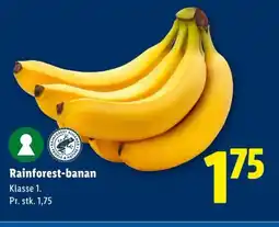 Lidl Rainforest-banan tilbud