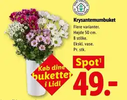 Lidl Krysantemumbuket tilbud