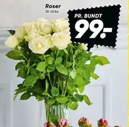 Bilka Roser tilbud