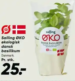 Bilka Salling ØKO økologisk dansk basilikum tilbud
