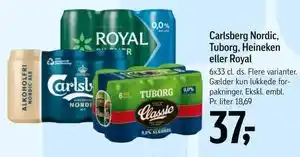 Carlsberg Nordic, Tuborg, Heineken eller Royal