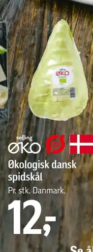 Føtex salling ØKO Økologisk dansk spidskål tilbud