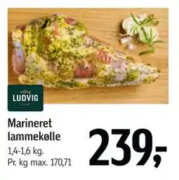 Føtex Marineret lammekølle tilbud