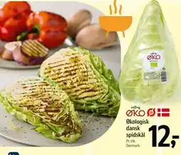 Føtex Økologisk dansk spidskål tilbud