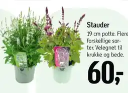 Føtex Stauder tilbud