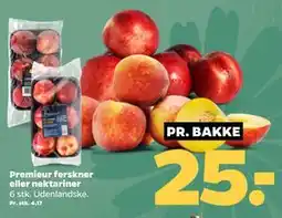 Netto Premieur ferskner eller nektariner tilbud