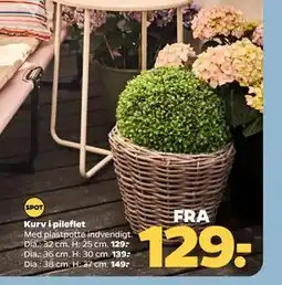 Netto Kurv i pileflet tilbud