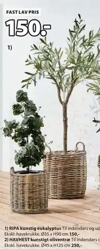 JYSK RIPA kunstig eukalyptus tilbud