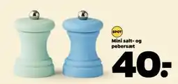 Netto Mini salt- og pebersæt tilbud