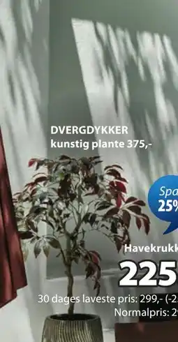 JYSK DVERGDYKKER kunstig plante tilbud