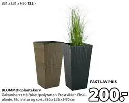 JYSK BLOMMOR plantekurv tilbud