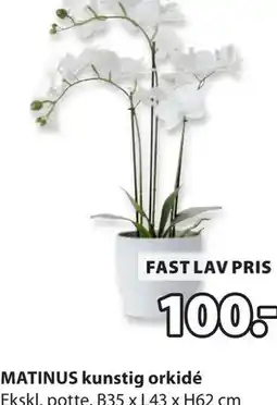 JYSK MATINUS kunstig orkidé tilbud