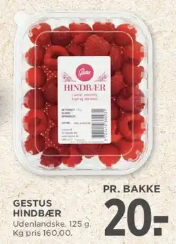 MENY Hindbær tilbud