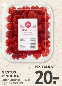 MENY GESTUS HINDBÆR tilbud