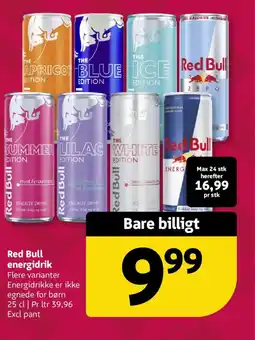 Løvbjerg Red Bull energidrik tilbud