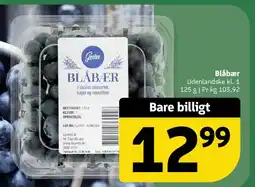 Løvbjerg Blåbær tilbud