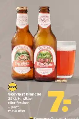 Netto Skovlyst Blanche tilbud