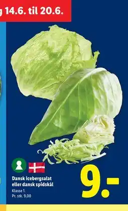 Lidl Dansk icebergsalat eller dansk spidskål tilbud