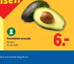 Lidl Formodnet avocado tilbud