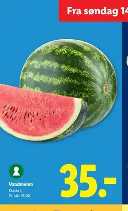 Lidl Vandmelon tilbud