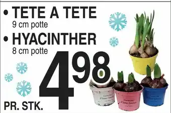 ABC Lavpris Tete a tete tilbud