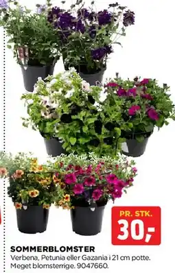 jem & fix SOMMERBLOMSTER tilbud