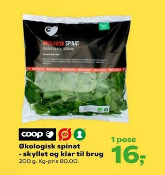 Økologisk spinat - skyllet og klar til brug