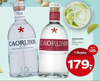Caorunn Gin