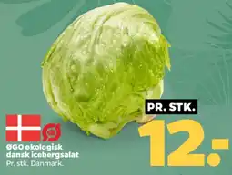 Netto Økologisk dansk iceberg salat tilbud