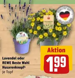 REWE DE Lavendel oder REWE Beste Wahl Husarenknopf tilbud
