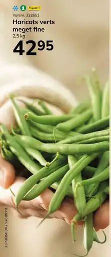 Dagrofa Food Service Haricots verts meget fine tilbud