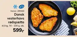 Dagrofa Food Service Dansk vesterhavs rødspætte tilbud
