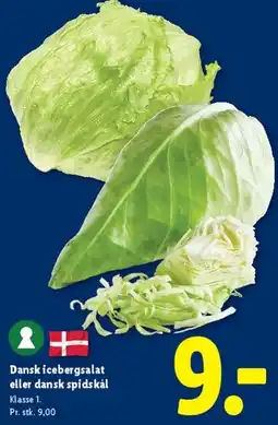 Lidl Dansk icebergsalat eller dansk spidskål tilbud