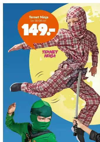 Ternet Ninja