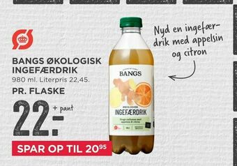 Bangs økologisk ingefærdrik