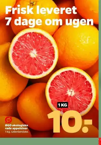 Netto ØGO økologiske røde appelsiner tilbud