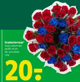 Coop 365 Studenterrose tilbud